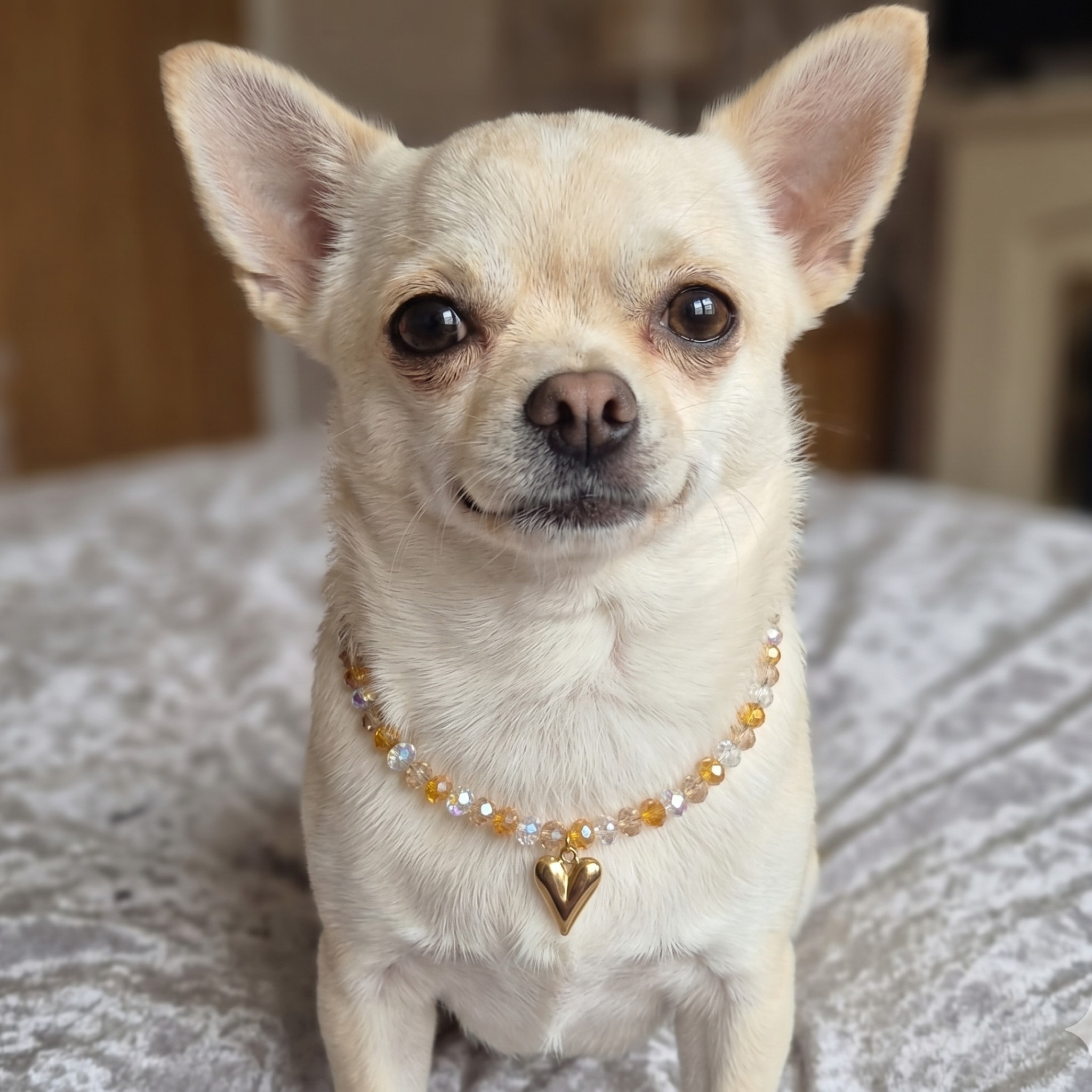 Collana per cani per Cani "Golden Heart" con Perline Champagne e Cuore Dorato